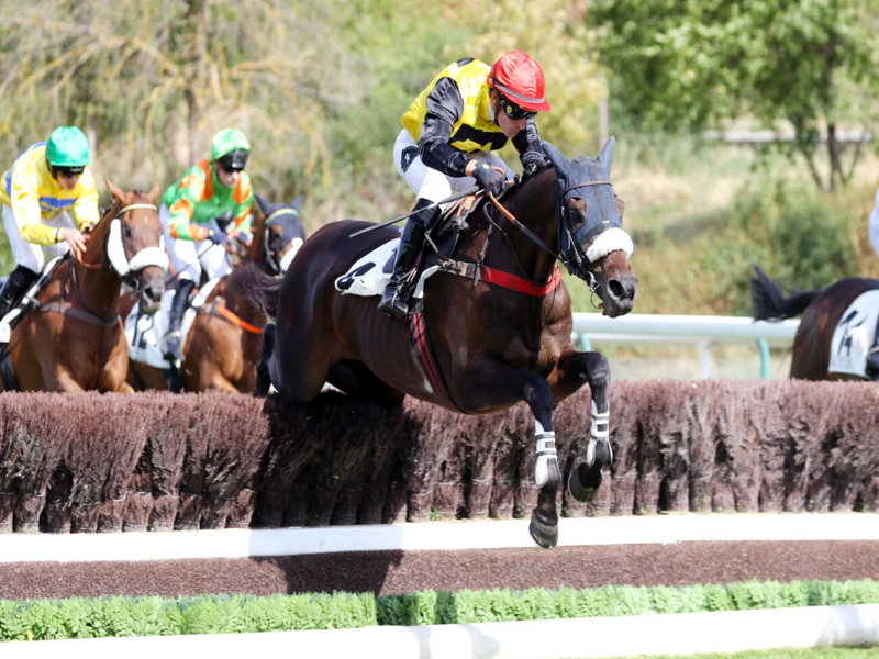 Quinté+ du 11 octobre 2026 à Auteuil - Pronostics du Prix Montgomery