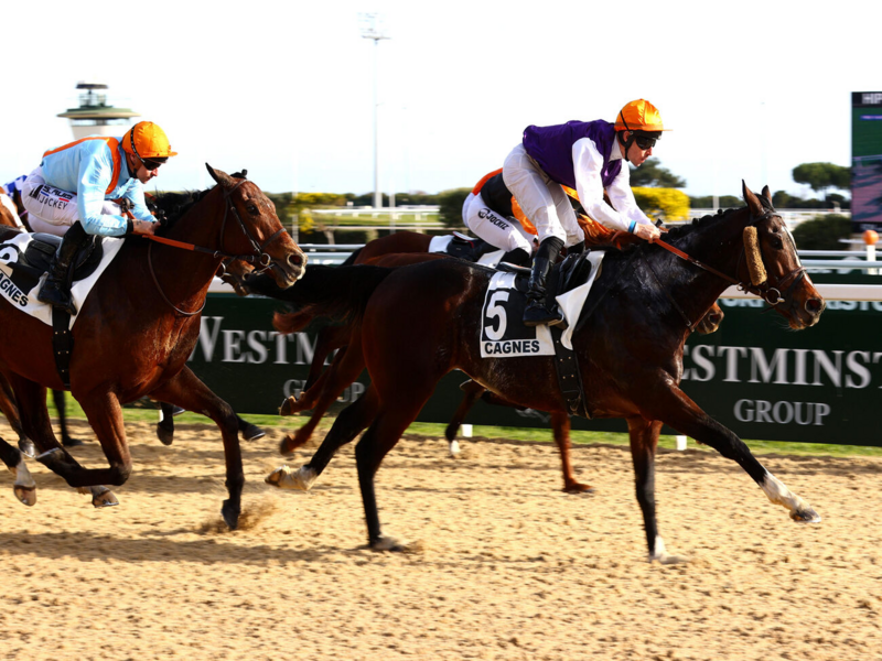 Quinté+ du 12 octobre 2026 à Marseille Borely - Pronostics du Prix Jacques Rossi.