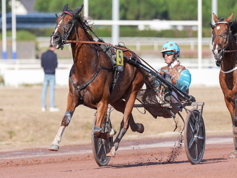 Quinté+ du Mercredi 14 Octobre 2026 à Reims - Pronostics du Grand National Du Trot