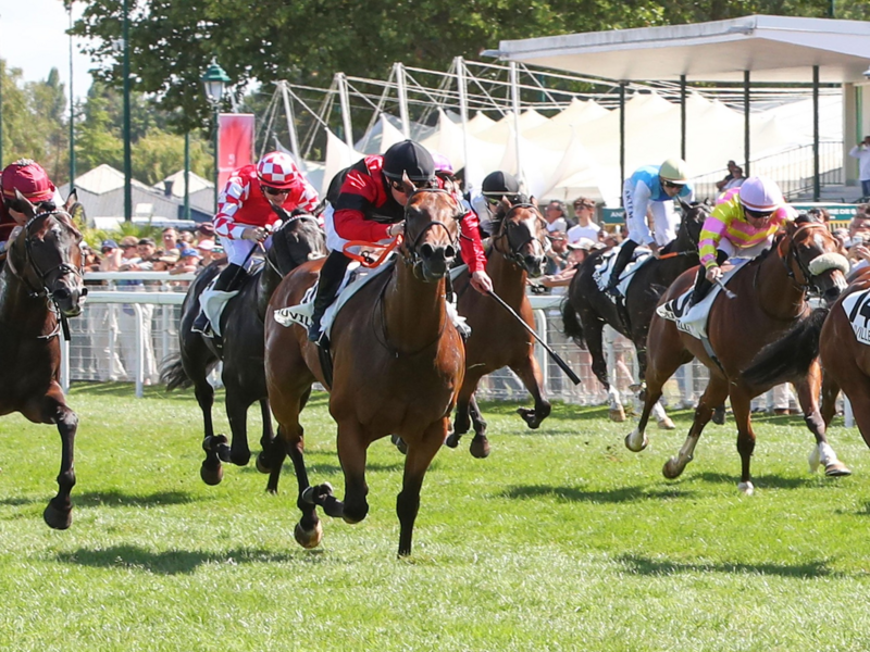 Quinté+ du 15 octobre 2026 à Chantilly - Pronostics du Prix De La Vierge De Lorette
