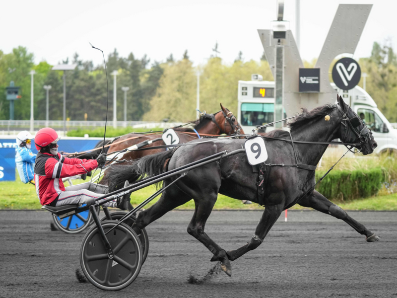 Quinté+ du 16 octobre 2026 à Paris-Vincennes - Pronostics du Prix Themis