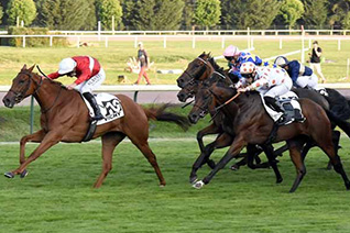 Illustration d’archive JDT, sans lien avec les partants de cette course